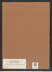 Omphalotheca hispida Ehr. (de-Toni-Nr.: Genus 254) Zeichnungen Sammlung Grunow Mappe 05452 (Herbarium_W_Grunow_drawings_Folder_05452)